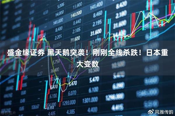盛金缘证券 黑天鹅突袭！刚刚全线杀跌！日本重大变数